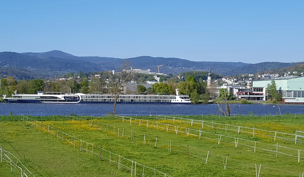 Die Donau bei Deggendorf mit Blick zum Bayerischen Wald